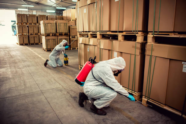 Trusted Panguitch, UT Pest Control Experts