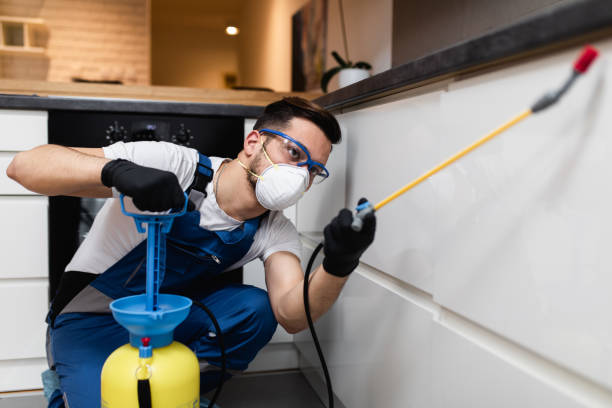 Best Wildlife Control Services  in Panguitch, UT