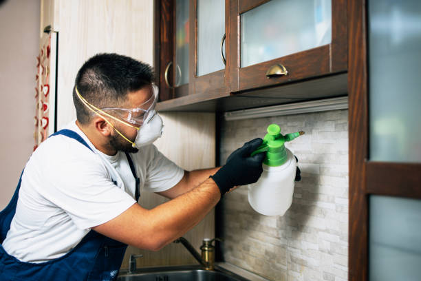 Best Affordable Pest Control Services  in Panguitch, UT
