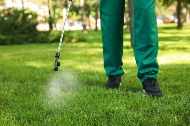 Flea Control Services in Panguitch, UT