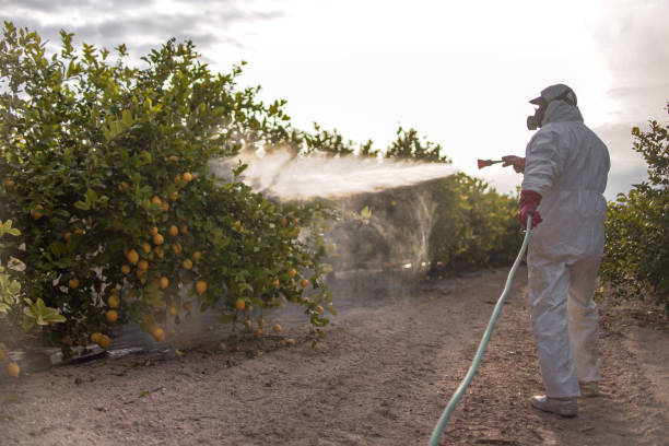 Best Wasp Removal Services  in Panguitch, UT