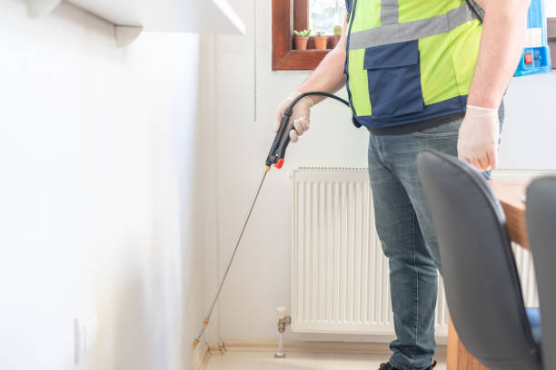 Best Termite Control Services  in Panguitch, UT
