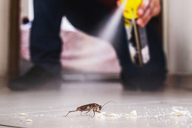 Best Residential Pest Control  in Panguitch, UT