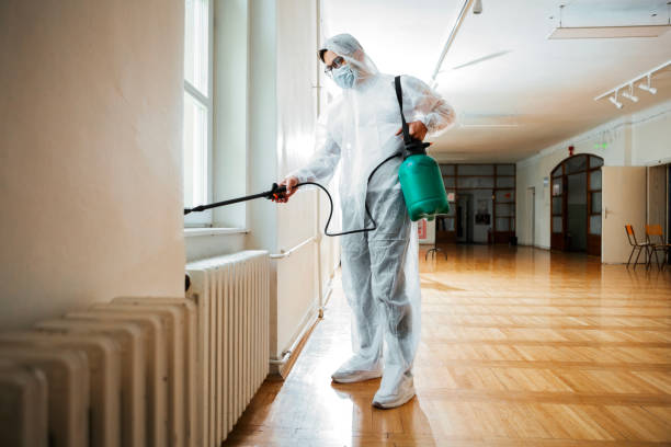 Best Affordable Pest Control Services  in Panguitch, UT
