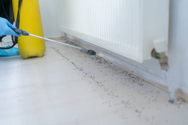 Best Pest Inspection Near Me  in Panguitch, UT