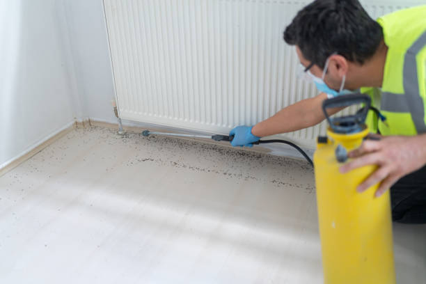 Pest Prevention Services in Panguitch, UT