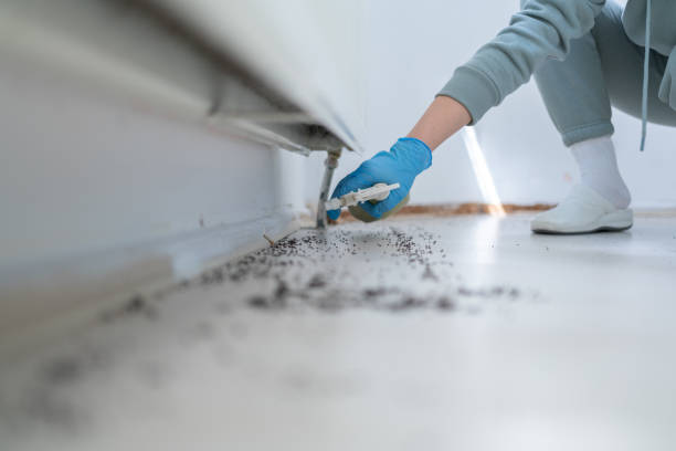 Best Best Pest Control Companies  in Panguitch, UT