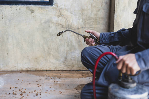 Best Pest Control for Homes  in Panguitch, UT